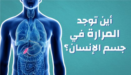 أين توجد المرارة في جسم الإنسان؟