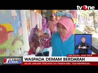 Tiga Penderita Demam Berdarah di Lamongan Meninggal Dunia