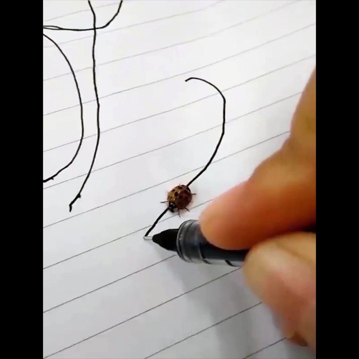 Sorunlarınızı yakından takip eder ve çözeriz
