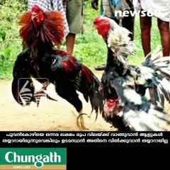 പൂവന്‍കോഴിക്ക്  ഒന്നര ലക്ഷം രൂപ!