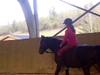 A cheval en licol