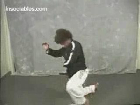 ¿ Maestro en artes marciales ?