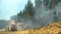 شاهد.. 155 رجل اطفاء يحاربون حرائق الغابات في نيوزيلندا