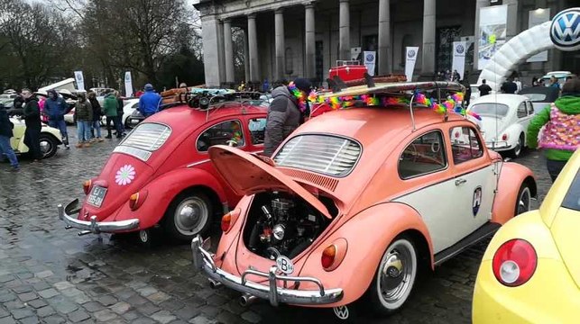 Le musée Autoworld à Bruxelles organise sa 11e Love Bugs Parade