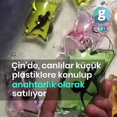 Çin'de canlılar küçük plastiklere konulup anahtarlık olarak satılıyor
