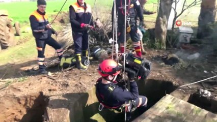 Geceyi kuyuda geçiren inek 12 saat sonra başarılı bir operasyon ile kurtarıldı