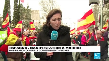 Espagne : "Pour les manifestants, Pedro Sanchez n'est pas un président légitime"