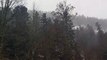 Tempête Isaias :  les sapins résistent dans le défilé de Straiture à Ban-sur-Meurthe-Clefcy dans les Vosges