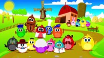 Mi smo Pilici  We Are Chickens (2015) Hit Video for Kids