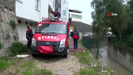 Derede mahsur kalan tavuğu itfaiye kurtardı