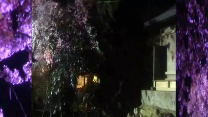 SÖZ **Şiven Tutmuyorsa** Seslendiren video** Aynur AVCI