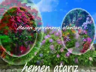 Aklıma bir fikir geldi **Yazan Seslendiren Klip **Aynur AVCI