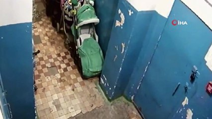 - Rusya'da Kutup Ayıları Şehre İndi, Acil Durum İlan Edildi