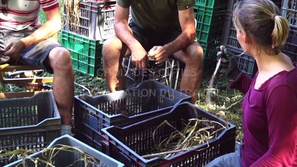 SOLANGE - Brique 4 - CHOIX OUTILS ORGANISATION TRAVAIL