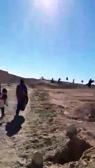 بارطاجي_يا_مواطن عائلات تونسية هزت دبشها و صغارهم و داخلين للجزائر.. قالولكم