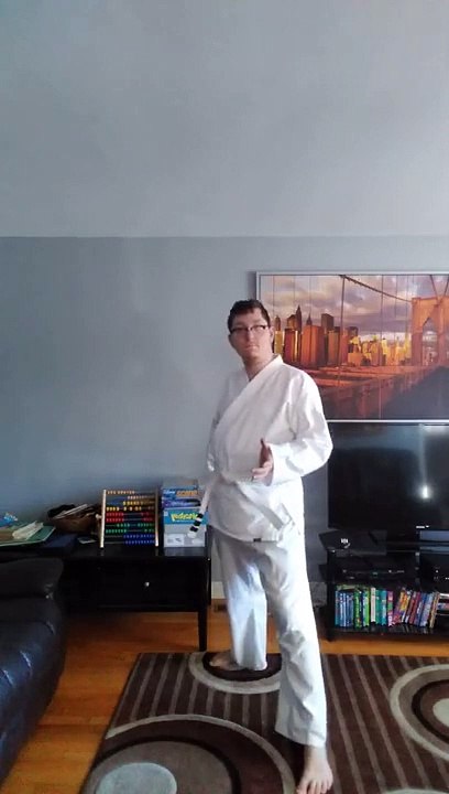 FKSA Karate Kicks