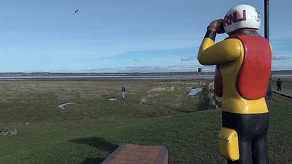 Cheshire Wildlife Trust's Huge Conservation Project!