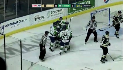 ECHL Wheeling Nailers 1 at Maine Mariners 4