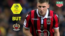 But Rémi WALTER (69ème pen) / OGC Nice - Olympique Lyonnais - (1-0) - (OGCN-OL) / 2018-19