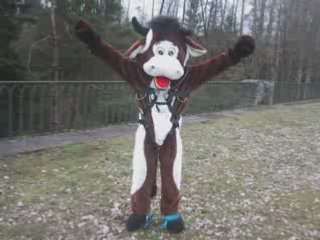 2004-03-20 - Saut en élastique à Claudon