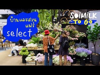 Soimilk To Go : บ้านและสวนแฟร์ Select