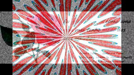 Eu gosto de você como uma rosa, medo dos seus espinhos [Frases e Poemas]