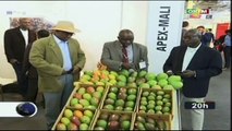 ORTM/Foire d’exposition des produits agricoles en Allemagne -  Le Mali y a pris part