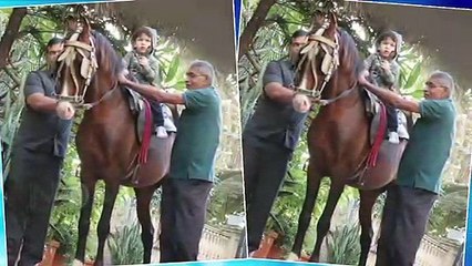 Taimur Ali Khan Swimming And RIDING Horse With His Nanny | Latest PICTURES