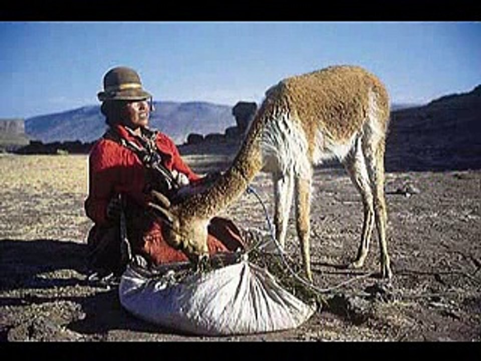 Photomontage perou vangelis flute de pan Vídeo Dailymotion