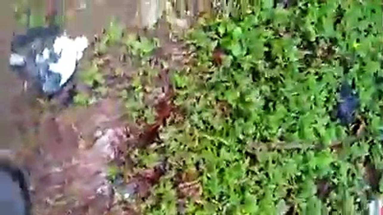 Sopir Ngantuk Bus Terbalik