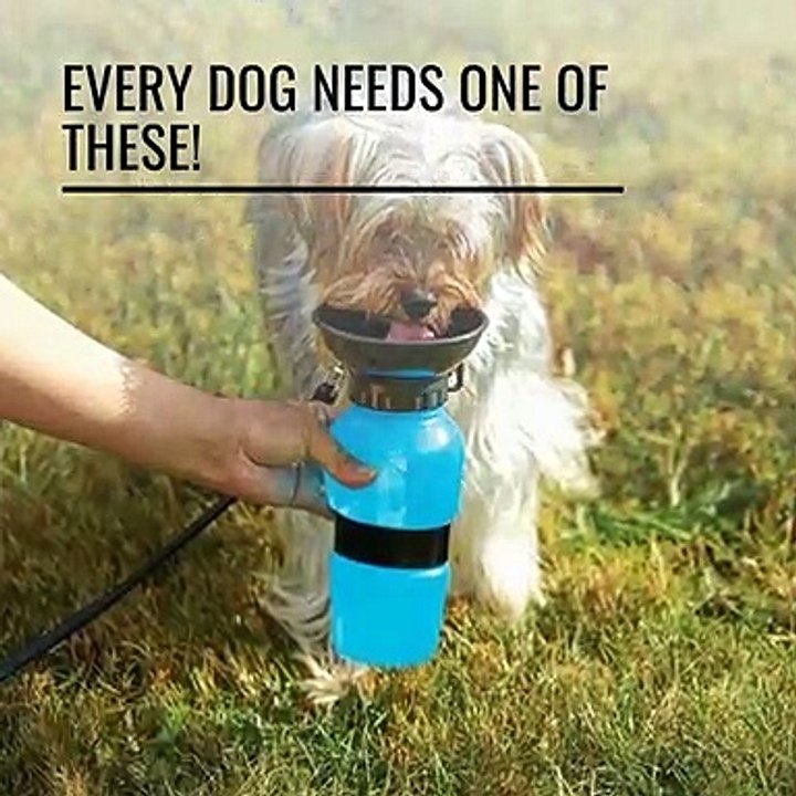 Dog Water Dispenser - Dog Supplies - Pug You Online Store