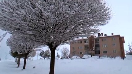 Video herunterladen: Ahlat beyaza büründü - BİTLİS