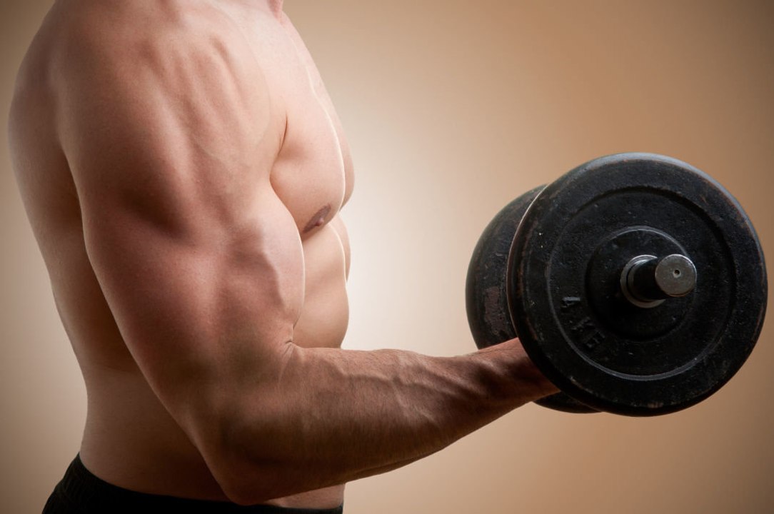 Biceps - Curls mit Kurzhanteln