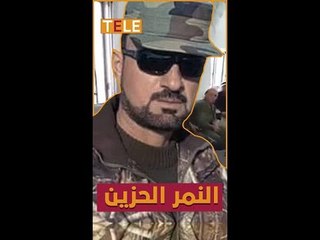 حكايات عالمية: النمر الحزين
