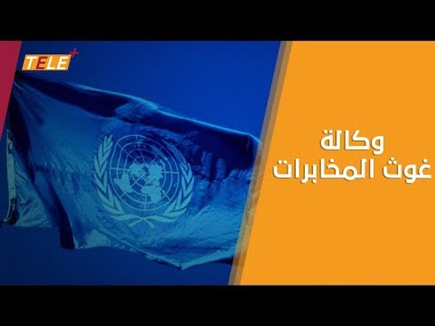 ⁣تحقيق: وكالة غوث وتشغيل اللاجئين الفلسطينيين