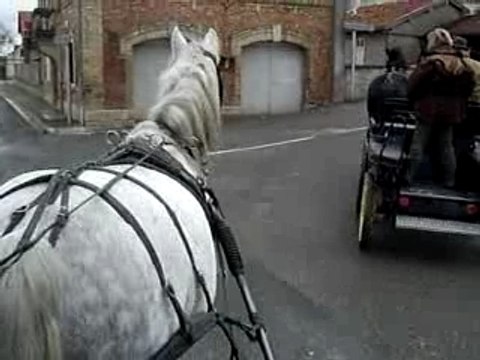 Balade à 2 attelages