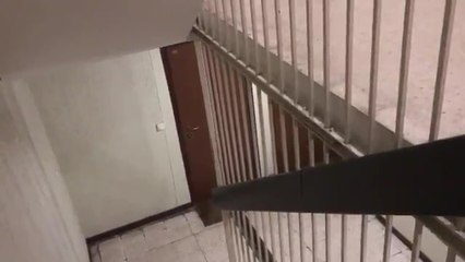 Témoin de violences conjugales, elle filme les hurlements de sa voisine dans la cage d'escalier.
