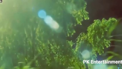 Tujhe Sochta Hoon - Jannat 2 (Female Version) 🎶 | Heartfelt & Beautiful Song