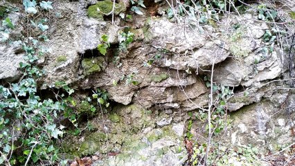 Ralenti - Les Gorges du Loup 6