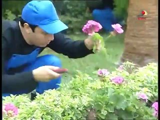 مسلسل بلد المحبوب - الحلقة السادسة عشر