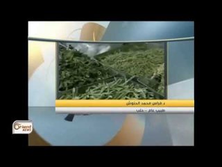 جولة الصباح |الطب بالأعشاب دواء الفقراء في سوريا/الجزر النهرية في الفرات وخطر الزوال ج1