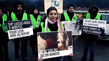 LE FONTANIL-CORNILLON : Les activistes de « Grenoble Animal Save » ce matin devant l’Abattoir