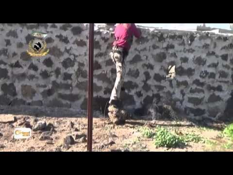 Şam Li taxa Cober pevçûn û topbaran Feedba