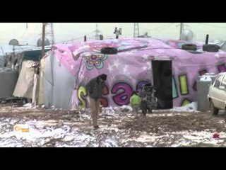 Bahoza Huda 11 penaberên Sûrî dikuje û NY ditirse ku hejmar bilind bibe