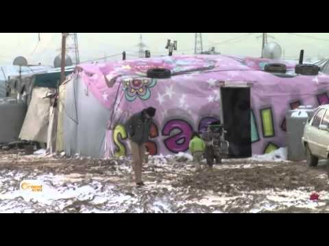 Bahoza Huda 11 penaberên Sûrî dikuje û NY ditirse ku hejmar bilind bibe