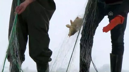 Bitlis'te donan gölde balık avı