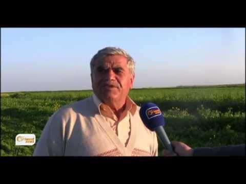 Rewşa çendiniyê li herême Girkê legê