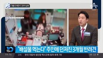 “환불 안 해준다” 강아지 살해