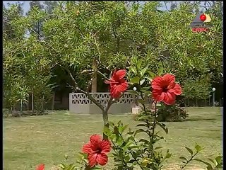 مسلسل أحلام هند الخشاب - الحلقة الأولى