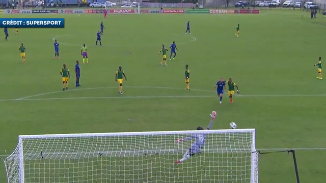 Le but spectaculaire de Teboho Mokoena en Afrique du Sud